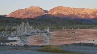 Arsenic-Based Life, Open to Critique image: Arsenic-Based Life, Open to Critique