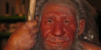 image: Humans Picked Up Ancestral Immunity