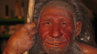 Humans Picked Up Ancestral Immunity image: Humans Picked Up Ancestral Immunity