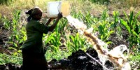image: Opinion: The Water Deficit