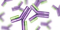 image: Antibodies User Survey