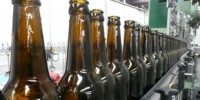 image: Beer Yeast Identified