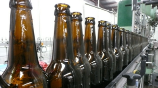 Beer Yeast Identified image: Beer Yeast Identified