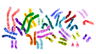 Chromosomes and Cancer image: Chromosomes and Cancer