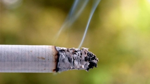 Nicotine Protects Against Parkinson’s? image: Nicotine Protects Against Parkinson’s?