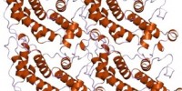 image: New Shape of Parkinson's Protein
