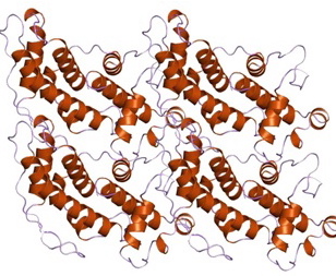 New Shape of Parkinson's Protein image: New Shape of Parkinson's Protein
