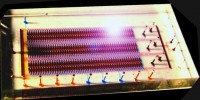 image: Next Generation: Hundreds of Cell-Analyses at Once