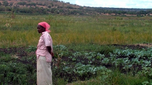 A woman with her crops grown in a wetland in South Africa