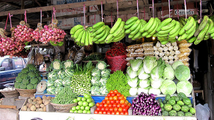 Opinion: Reducing Foodborne Illness image: Opinion: Reducing Foodborne Illness