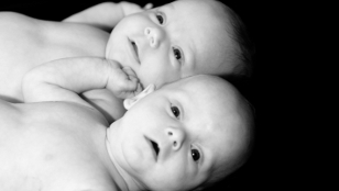 Why Have Twins? image: Why Have Twins?