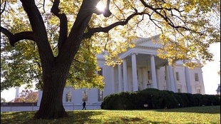 Protecting Government Whistleblowers image: Protecting Government Whistleblowers