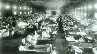 Blocking Flu Death image: Blocking Flu Death
