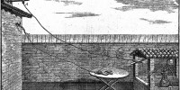 image: Animal Electricity, circa 1781