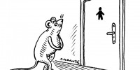 image: To Pee or Not to Pee