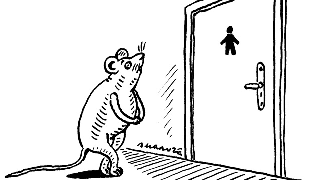 To Pee or Not to Pee image: To Pee or Not to Pee
