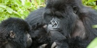 New mom in the Susa family group shows her new infant to an older baby