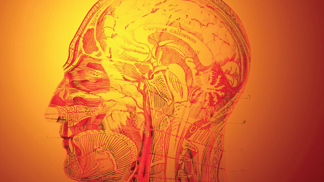Neuroscience image: Neuroscience