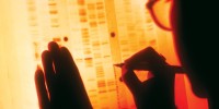 image: Omics