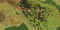 image: Marauding Moths