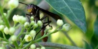 image: Opinion: Species Origins DO Matter!