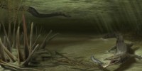 image: Ancient Croc Found
