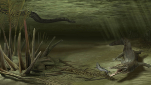 Ancient Croc Found image: Ancient Croc Found