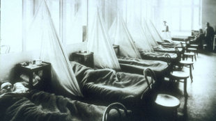 1918 Flu Spread Before Peak image: 1918 Flu Spread Before Peak