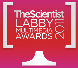 Check out the winners or the 2011 Labby Multimedia Awards