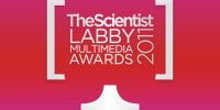 image: The 2011 Labby Multimedia Awards