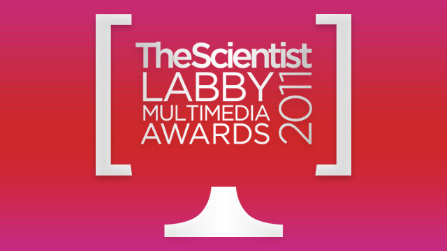 The 2011 Labby Multimedia Awards image: The 2011 Labby Multimedia Awards