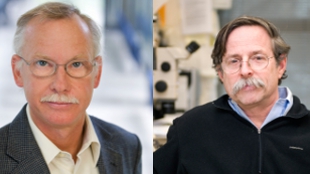 Franz-Ulrich Hartl (left) of the Max Planck Institute of Biochemistry and Arthur L. Horwich of Yale University School of Medicine took home the 2011 Albert Lasker Basic Medical Research Award for their work on protein folding