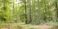 image: Top 7 in Ecology