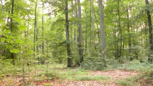 Top 7 in Ecology image: Top 7 in Ecology