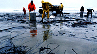 Oil Spills: Research and Protests image: Oil Spills: Research and Protests