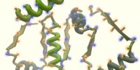 image: Public Solves Protein Structure