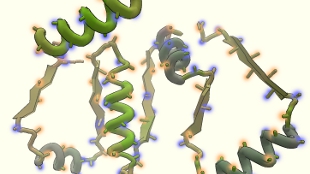 Public Solves Protein Structure image: Public Solves Protein Structure