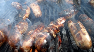 Synthetic Sausages image: Synthetic Sausages