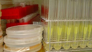 Campaign Fights Lab Sloppiness image: Campaign Fights Lab Sloppiness