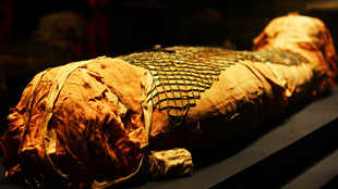 Mummy Cancer image: Mummy Cancer