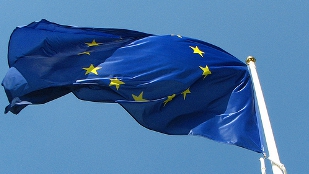 EU Scientists Plan Better Representation image: EU Scientists Plan Better Representation
