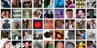 image: Brain Structure Linked to Facebook 