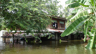 Floods Threaten Thai Innovation Hub image: Floods Threaten Thai Innovation Hub