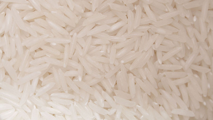 Blood Protein from Rice image: Blood Protein from Rice