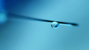 Pox Vaccine Treats Liver Cancer image: Pox Vaccine Treats Liver Cancer