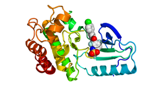 BRAF and Vemurafenib in complex