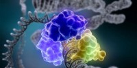 image: Top 7 in Genomics & Genetics