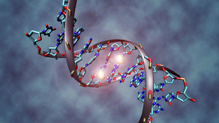 Top 7 in Evolutionary Biology image: Top 7 in Evolutionary Biology