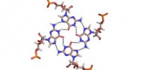 image: Top 7 in Molecular Biology
