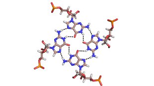 Top 7 in Molecular Biology image: Top 7 in Molecular Biology